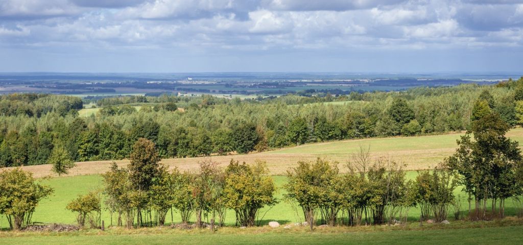 Park Krajobrazowy